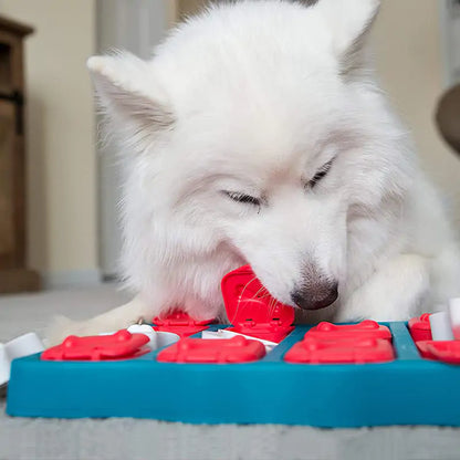 Pet Treasure Box Toy